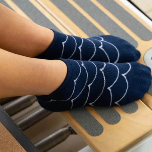 Scallop Navy Socks